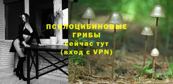 соль ск Алексеевка
