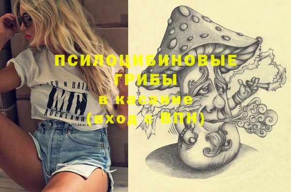 твердый Алзамай